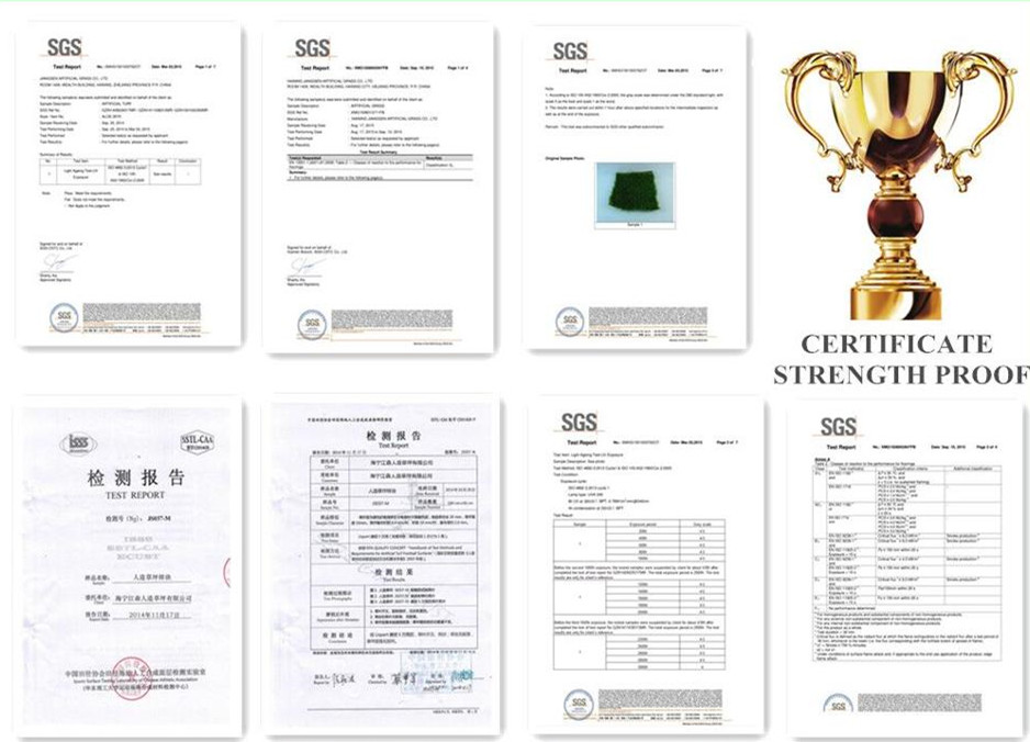 Jiangsen artificial grass co. certification