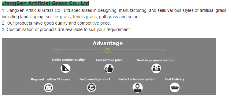 jiangsen dirbtinės žolės bendrovė jiangsen artificial grass company