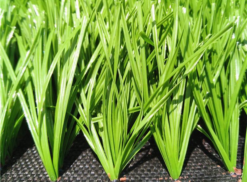 artificial turf playground