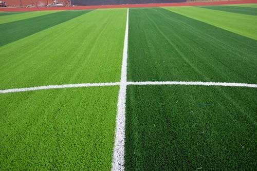 artificial grass football field