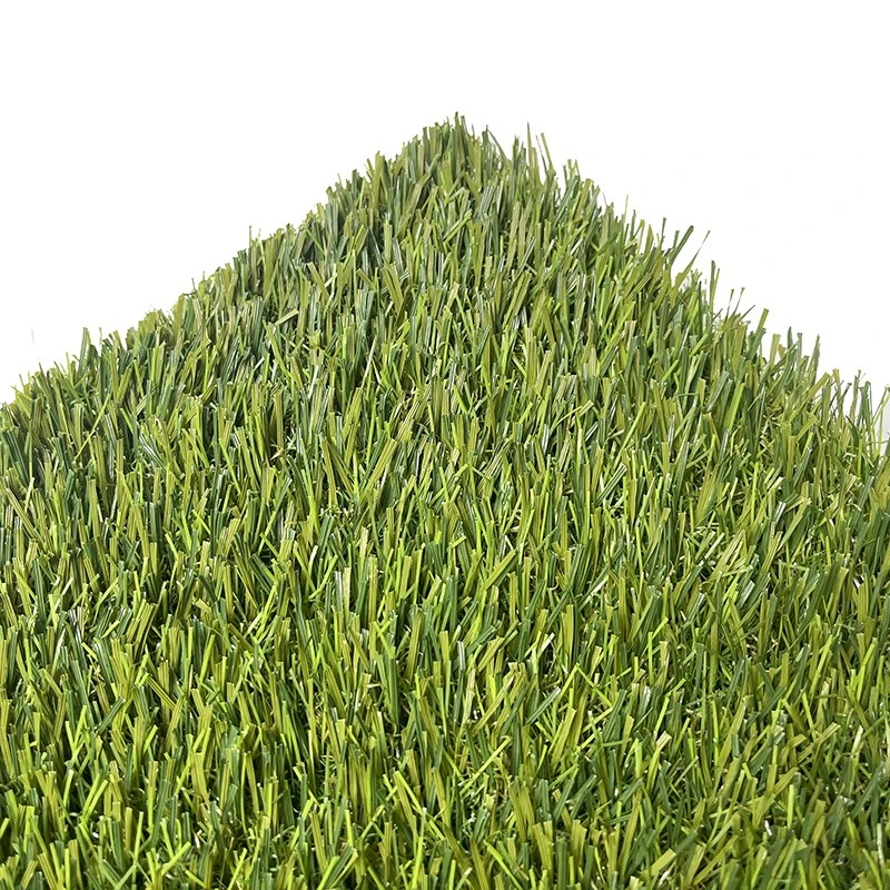 5 5