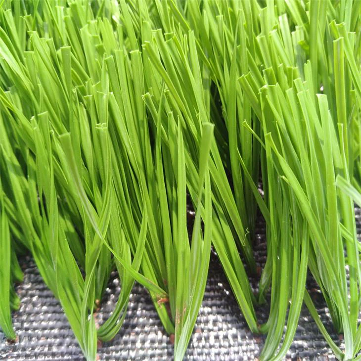 Artificial Turf Playground