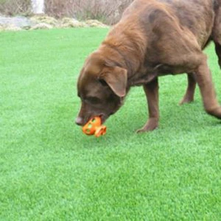 Dirbtinė veja šunims