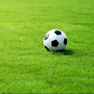 Dirbtinė žolė futbolo pikis