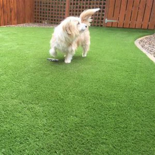 Dirbtinė žalia žolė