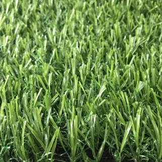 Sintetinė žolė Pertas