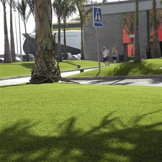 Dirbtinė velėna miesto parko viešosiose vietose